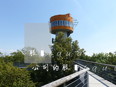 股權(quán)被法院查封可以做抵押嗎(公司的股權(quán)可以拿來抵押嗎)