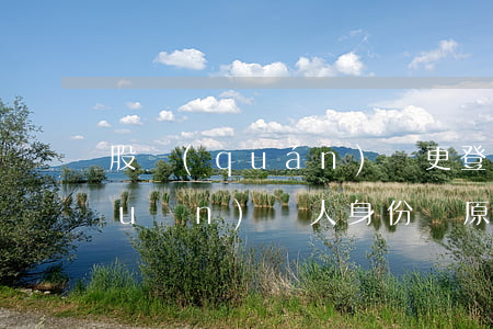 股權(quán)變更登記雖出示轉(zhuǎn)讓人身份證原件，亦不能推定為有效授權(quán)