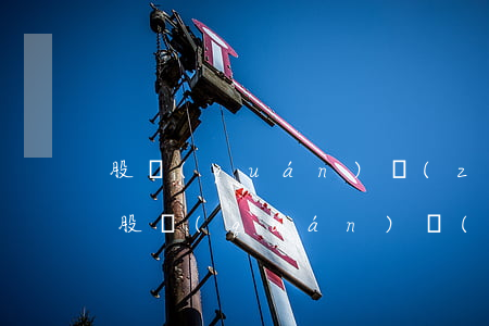 股權(quán)質(zhì)押如何辦理(股權(quán)質(zhì)押如何辦理登機)