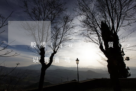 股權(quán)質(zhì)押期間還可以買賣嗎