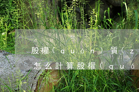 股權(quán)質(zhì)押率是什么怎么計算股權(quán)質(zhì)押率（股票質(zhì)押率怎么算）