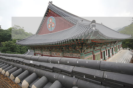 股權(quán)轉(zhuǎn)讓之前債權(quán)債務(wù)由誰承擔