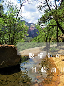 股權(quán)轉(zhuǎn)讓分期付款逾期的法律適用-股權(quán)轉(zhuǎn)讓分期付款逾期的法律適用嗎