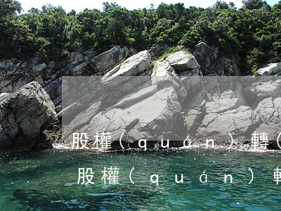 股權(quán)轉(zhuǎn)讓分錄(股權(quán)轉(zhuǎn)讓分錄是按實(shí)繳還是認(rèn)繳)