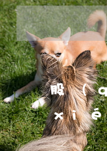 股權(quán)轉(zhuǎn)讓協(xié)議項下存在多個交易，其合同效力如何認定？