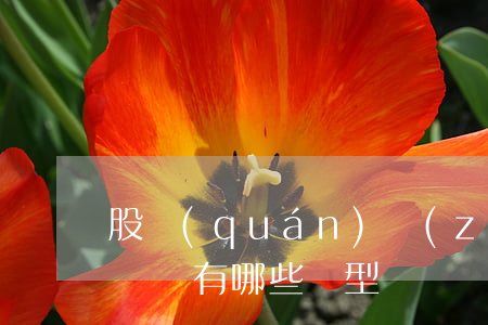 股權(quán)轉(zhuǎn)讓合同糾紛有哪些類型糾紛