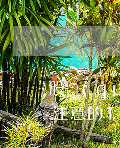 股權(quán)轉(zhuǎn)讓必須注意的18個(gè)問(wèn)題！