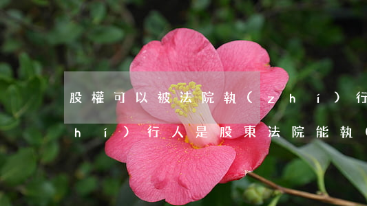股權可以被法院執(zhí)行嗎(被執(zhí)行人是股東,法院能執(zhí)行他的股權嗎)