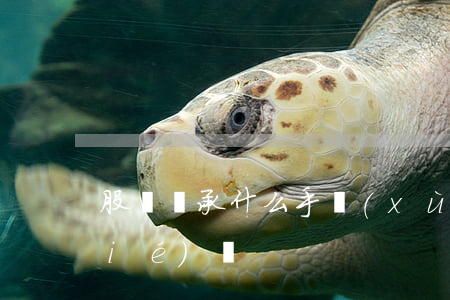 股權繼承什么手續(xù)(股權繼承協(xié)議)