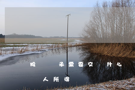 股權繼承需要交納什么稅費(股權繼承需要交個人所得稅嗎)