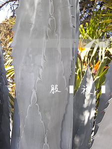 股權被質押后還可以司法凍結嗎