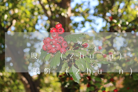 股權轉(zhuǎn)讓流程(企業(yè)股份轉(zhuǎn)讓流程)