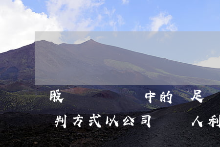 股權轉讓糾紛中的補足資產(chǎn)審判方式，以公司債權人利益預防保護為視角