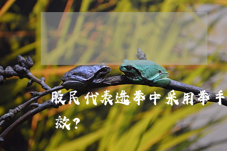 股民代表选举中采用举手表决的方式是否有效？
