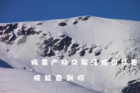 股票产权交易法院可以查到吗(股票里的钱法院能查到吗)