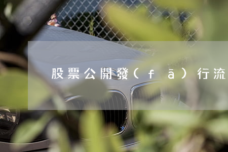 股票公開發(fā)行流程