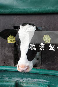股票发行价怎么确定