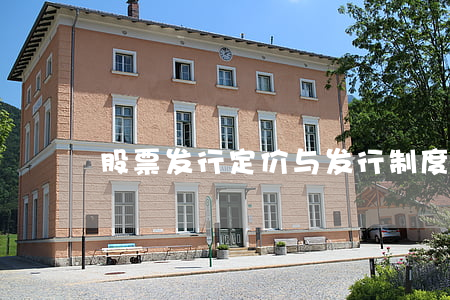 股票发行定价与发行制度研究
