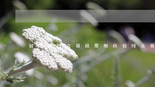 股票期权交易(股票期权如何交易)