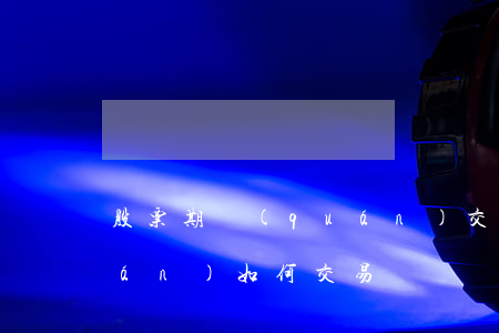股票期權(quán)交易(股票期權(quán)如何交易)