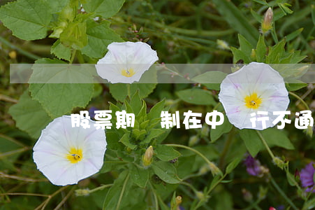 股票期權制在中國行不通