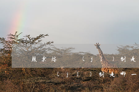股票熔斷機(jī)制是什么意思(股市的熔斷機(jī)制是哪一年出臺(tái)的)