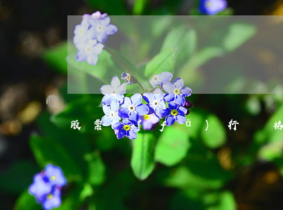 股票發(fā)行價格影響因素