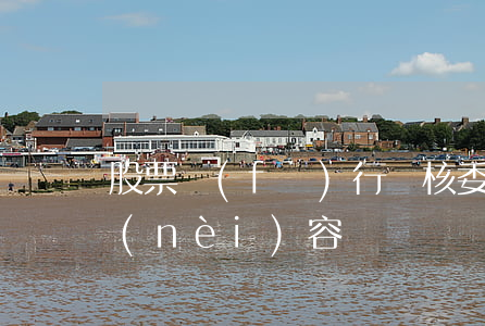 股票發(fā)行審核委員會制度的主要內(nèi)容