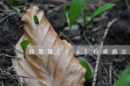 股票發(fā)行承銷合同