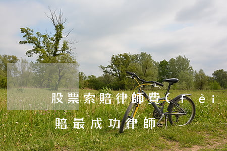 股票索賠律師費(fèi)一般多少(股票索賠最成功律師)