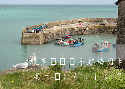 股票虧錢還不起信用卡-股票虧錢還不起信用卡會(huì)怎么樣