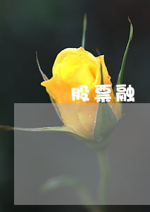 股票融資融券
