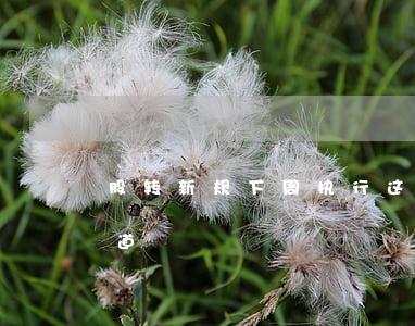 股转新规下周执行，这29个知识点你应该知道！