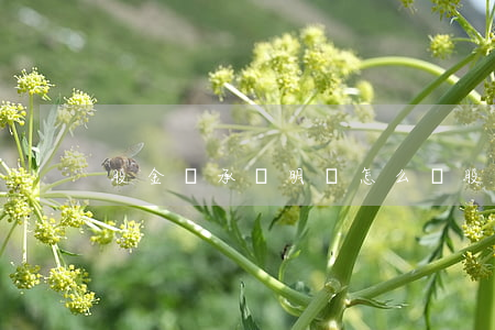 股金繼承說明書怎么寫(股份繼承書怎么寫)