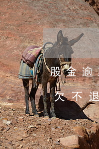 股金逾期未到账视为自动放弃股份-股金拖欠不退还的法律途径