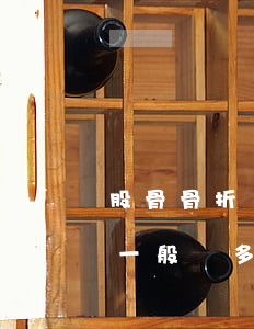 股骨骨折賠償20萬(wàn)(股骨頸骨折一般賠多少錢(qián))