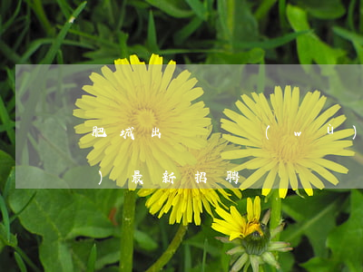 肥城出國勞務(wù)(肥城出國勞務(wù)最新招聘)