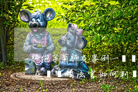 “肺孢子菌肺炎”案例一則：醫(yī)院是否存在誤診，看法官如何判斷