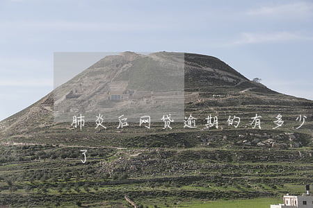 肺炎后网贷逾期的有多少(你们网贷逾期多久了)