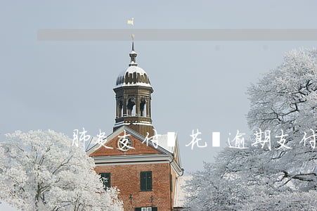 肺炎支付寶花唄逾期(支付寶花唄嚴重逾期)