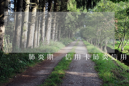 肺炎期間信用卡（肺炎信用卡逾期了）