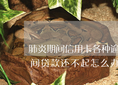 肺炎期间信用卡各种逾期怎么办啊-肺炎期间贷款还不起怎么办