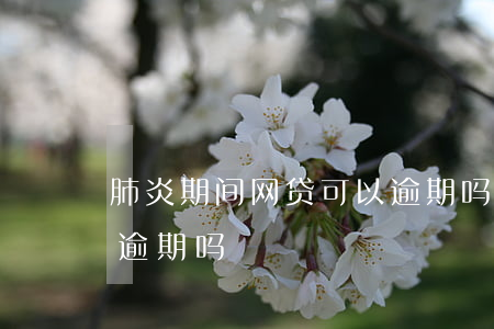 肺炎期间网贷可以逾期吗(肺炎期间网贷可以逾期吗)