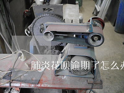 肺炎花呗逾期了怎么办(借呗逾期5天后还了)