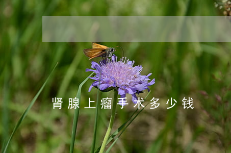肾腺上瘤手术多少钱