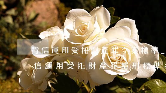 背信運用受托財產罪立案標準_2021背信運用受托財產罪量刑標準和認定構成要件