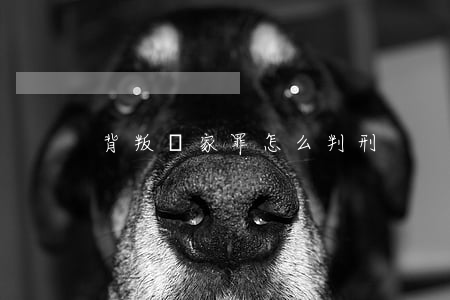 背叛國家罪怎么判刑