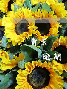 背景調(diào)查有網(wǎng)貸沒逾期(網(wǎng)貸逾期調(diào)查組是什么)