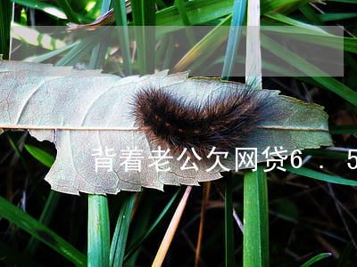 背着老公欠网贷6.5万(男子欠网贷6万)