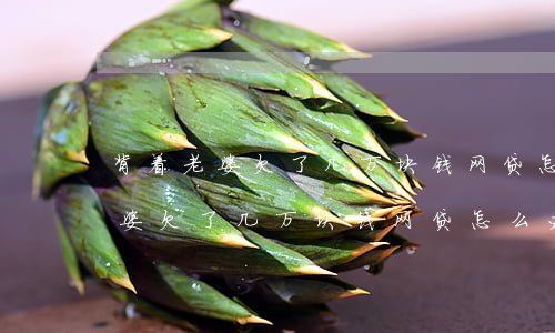 背着老婆欠了几万块钱网贷怎么办-背着老婆欠了几万块钱网贷怎么办呢